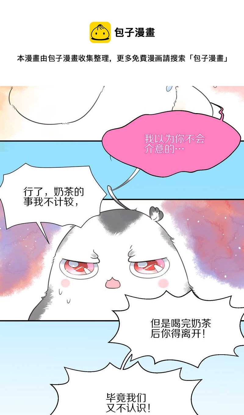 毛球星传说 第12集-第12话