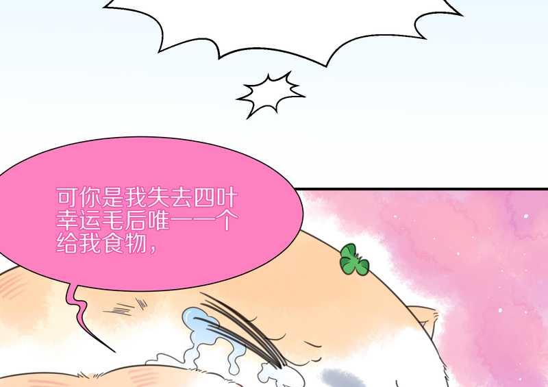 毛球星传说 第12集-第12话