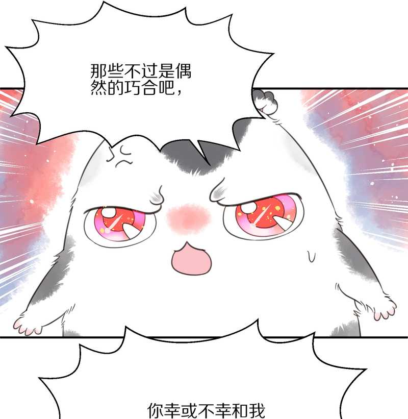 毛球星传说 第12集-第12话