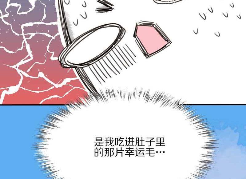 毛球星传说 第12集-第12话