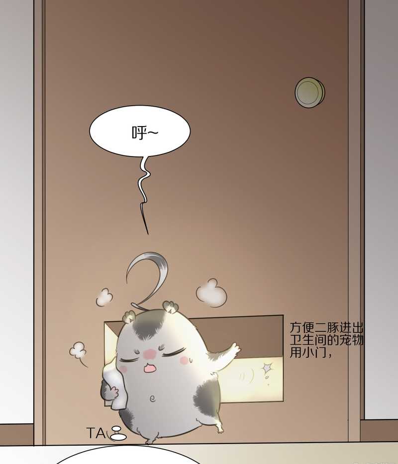 毛球星传说 第12集-第12话