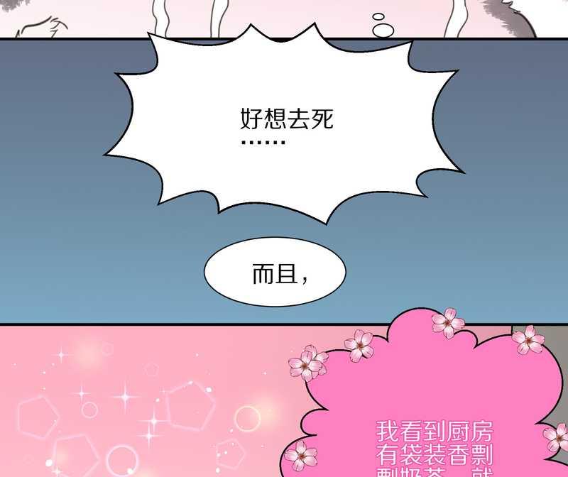 毛球星传说 第12集-第12话
