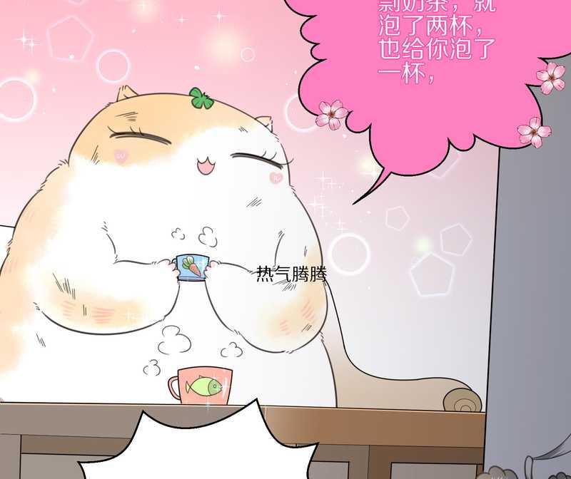 毛球星传说 第12集-第12话