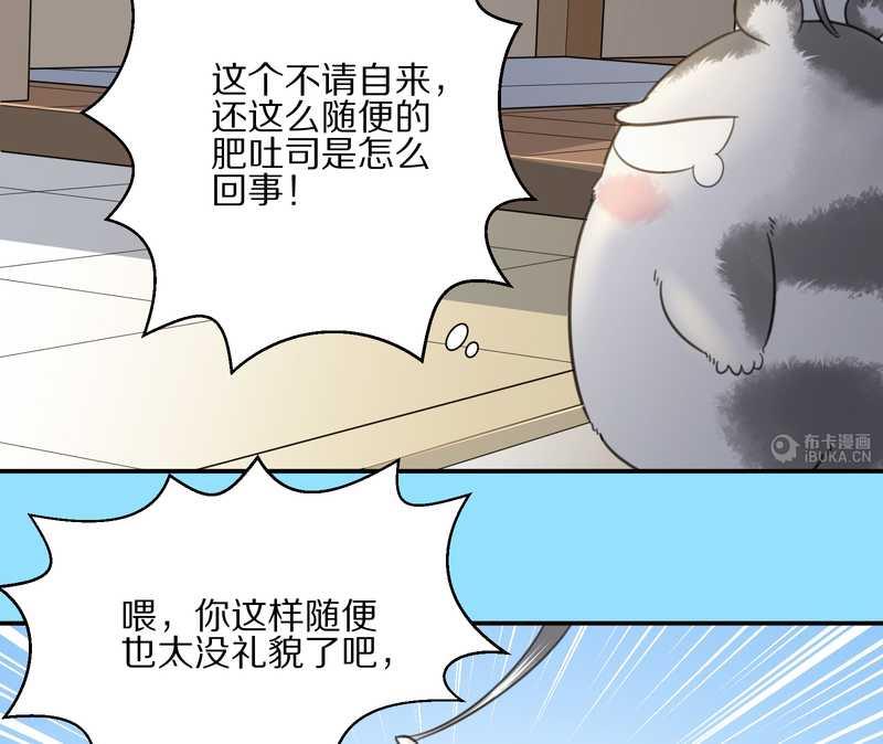 毛球星传说 第12集-第12话