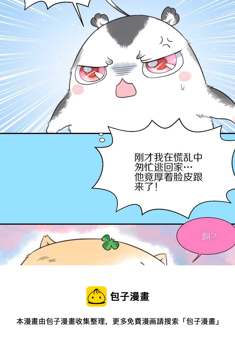 毛球星传说 第12集-第12话