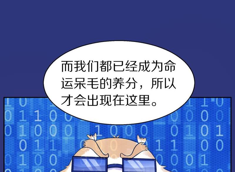 毛球星传说  第114集(1/3)-第114话