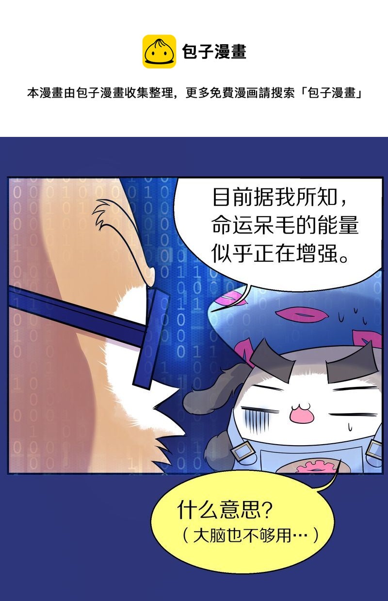 毛球星传说  第114集(1/3)-第114话