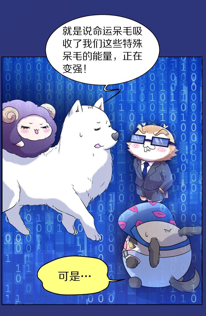 毛球星传说  第114集(1/3)-第114话