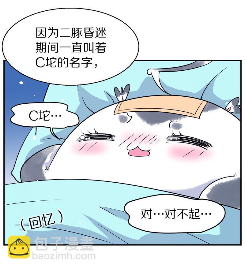 毛球星传说  第116集(1/5)-第116话