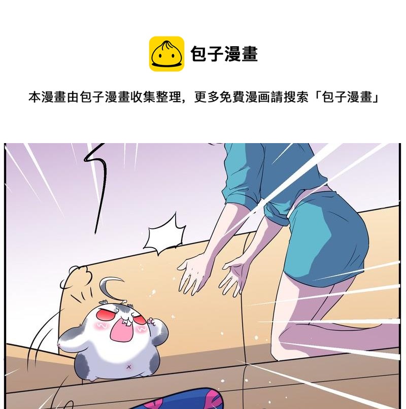 毛球星传说  第116集(1/5)-第116话