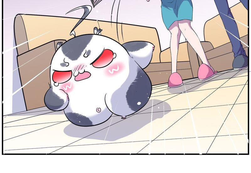 毛球星传说  第116集(1/5)-第116话