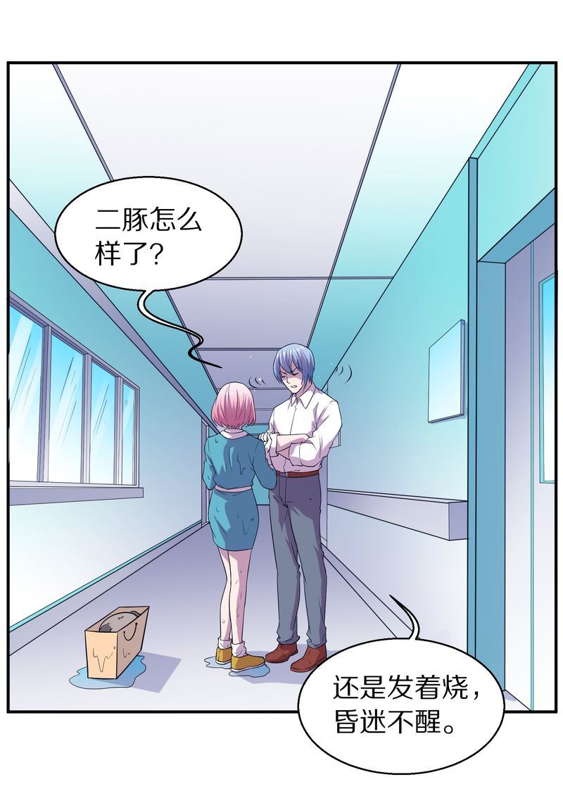 毛球星传说  第116集(1/5)-第116话