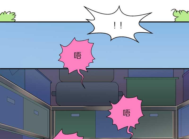 毛球星传说 第14集-第14话