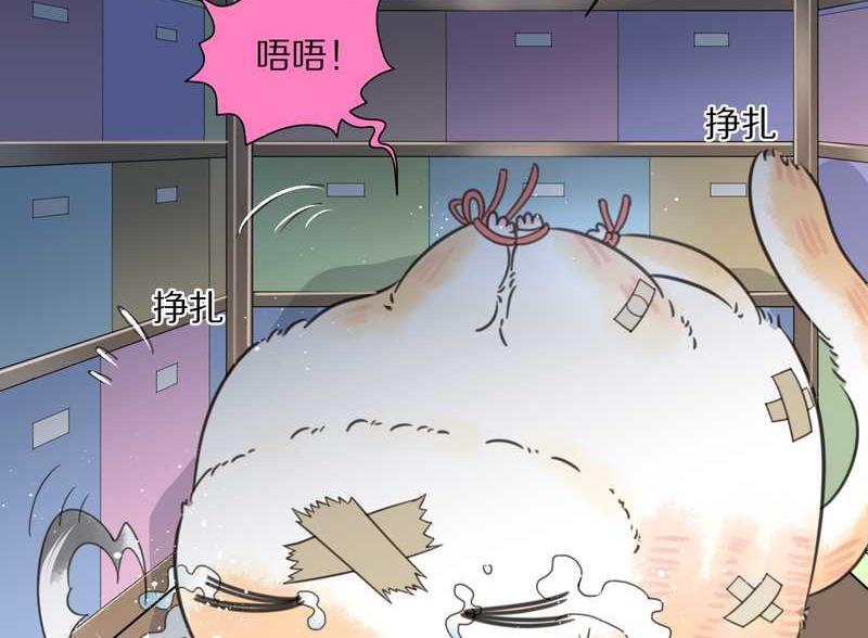 毛球星传说 第14集-第14话