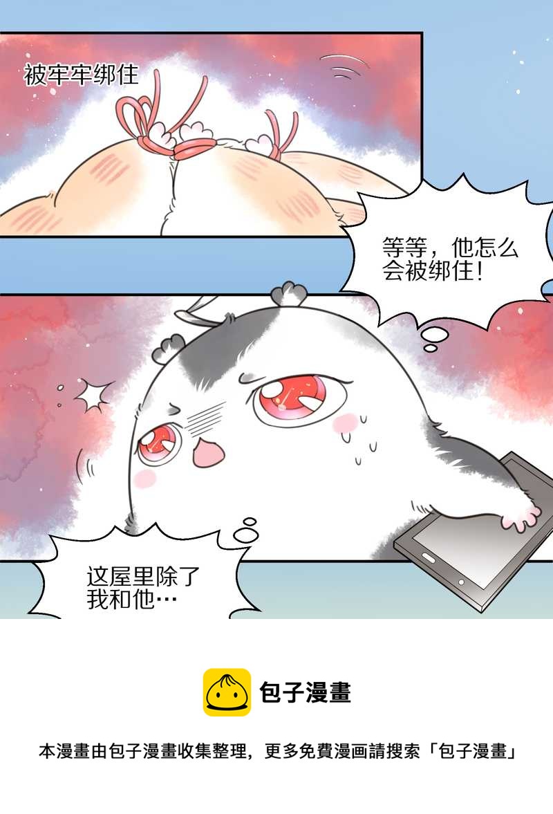 毛球星传说 第14集-第14话
