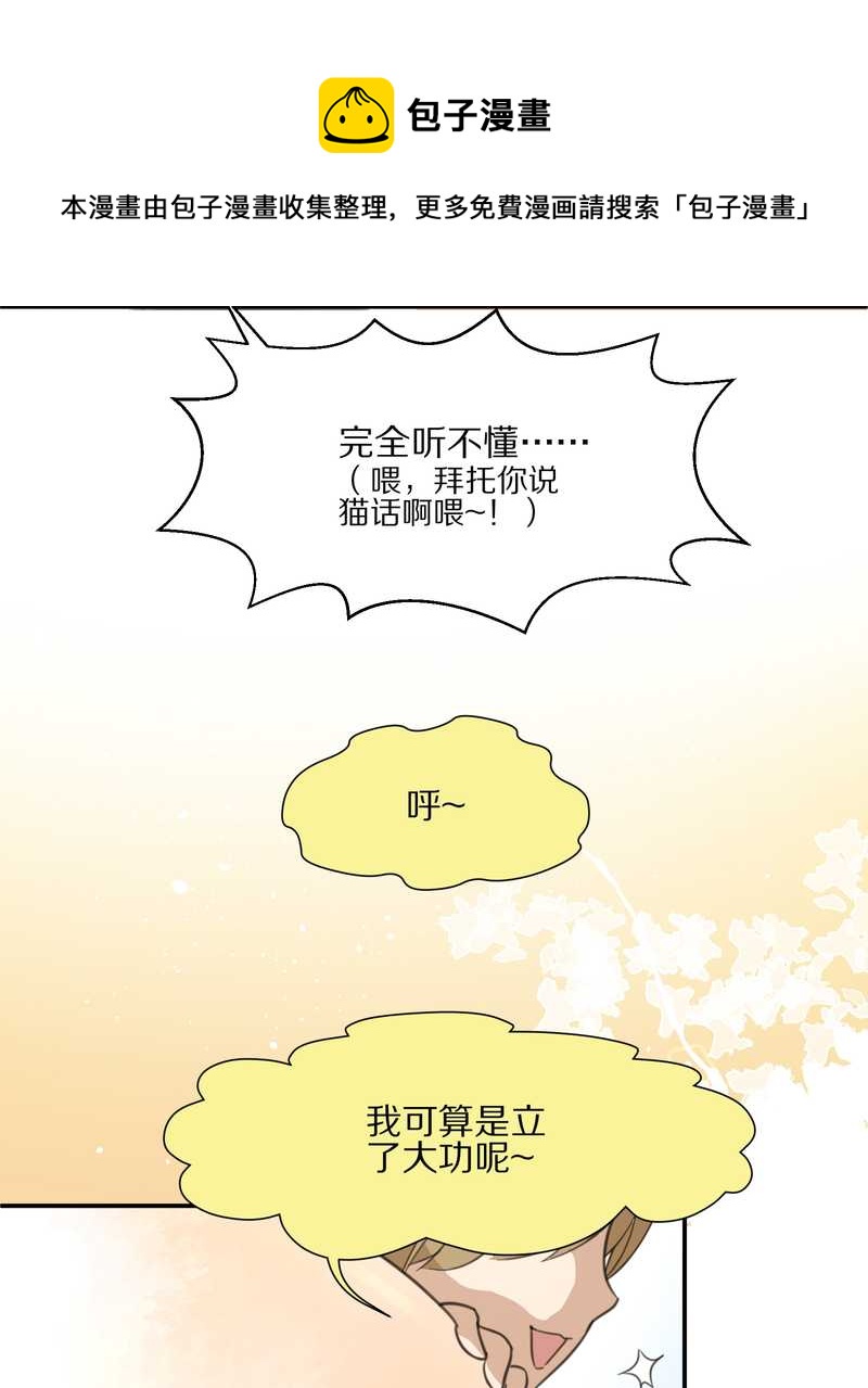 毛球星传说 第14集-第14话