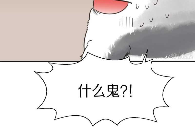 毛球星传说 第14集-第14话