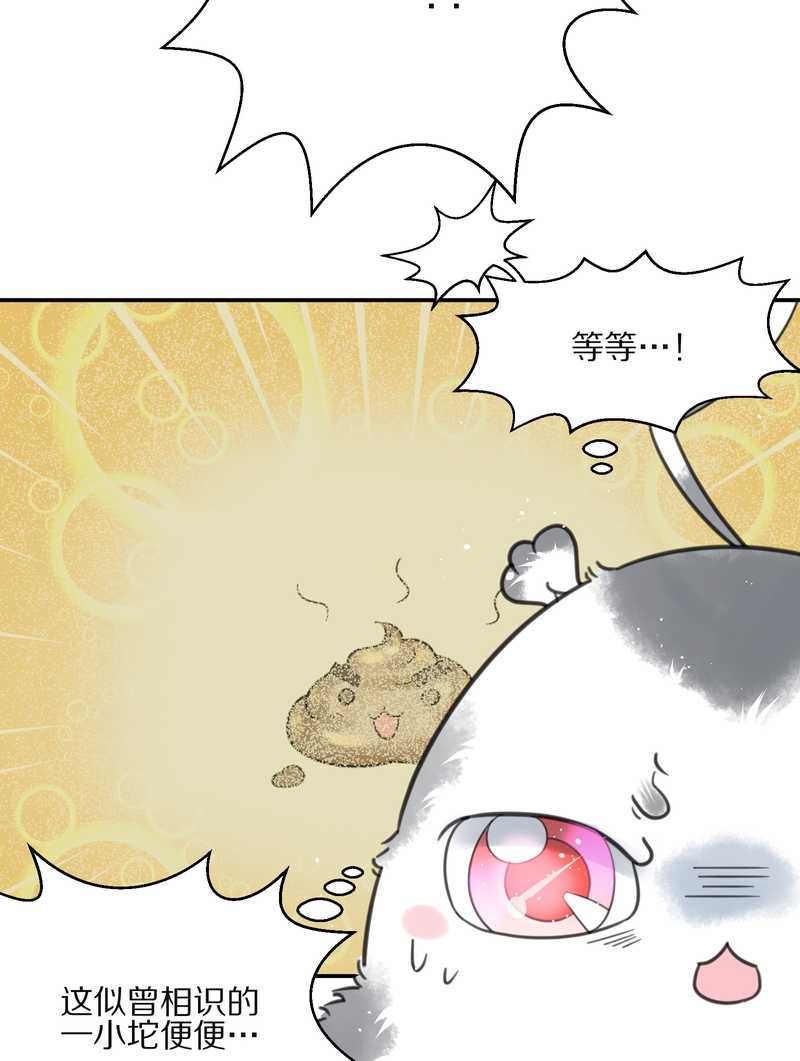 毛球星传说 第14集-第14话