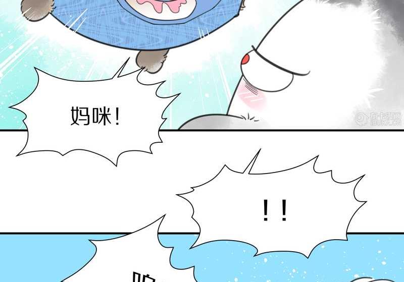 毛球星传说 第14集-第14话