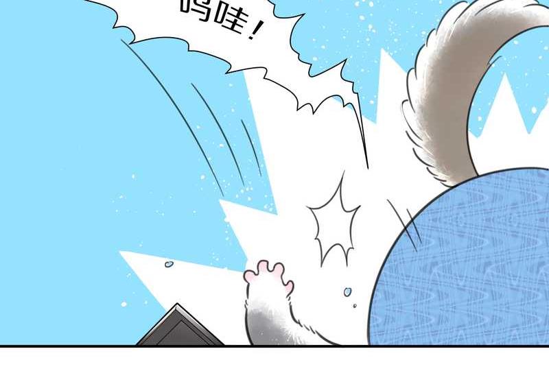 毛球星传说 第14集-第14话