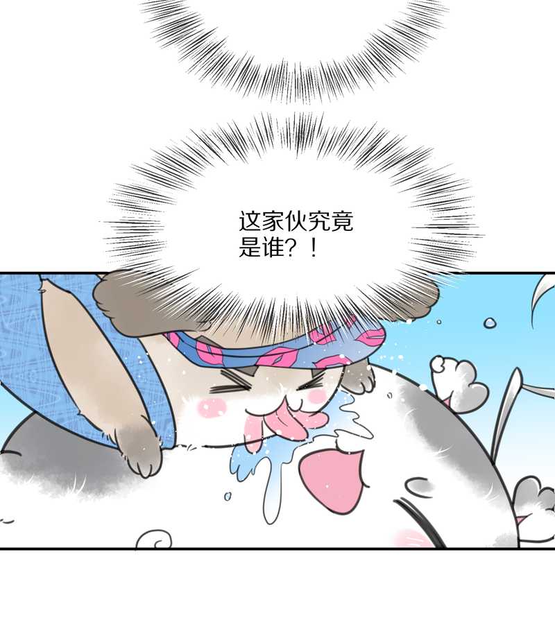 毛球星传说 第14集-第14话