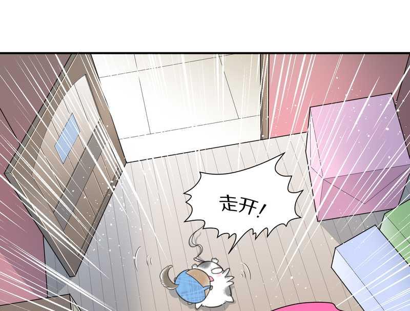 毛球星传说 第14集-第14话