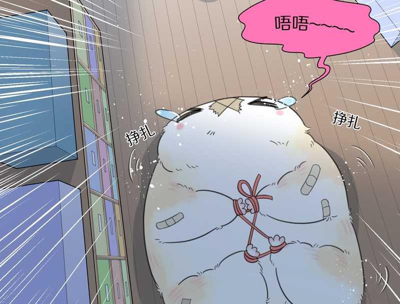 毛球星传说 第14集-第14话