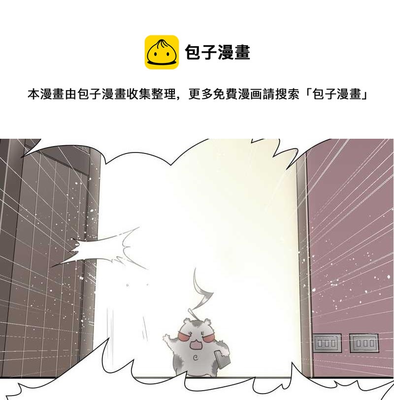 毛球星传说 第14集-第14话