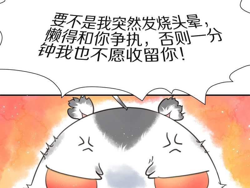 毛球星传说 第14集-第14话