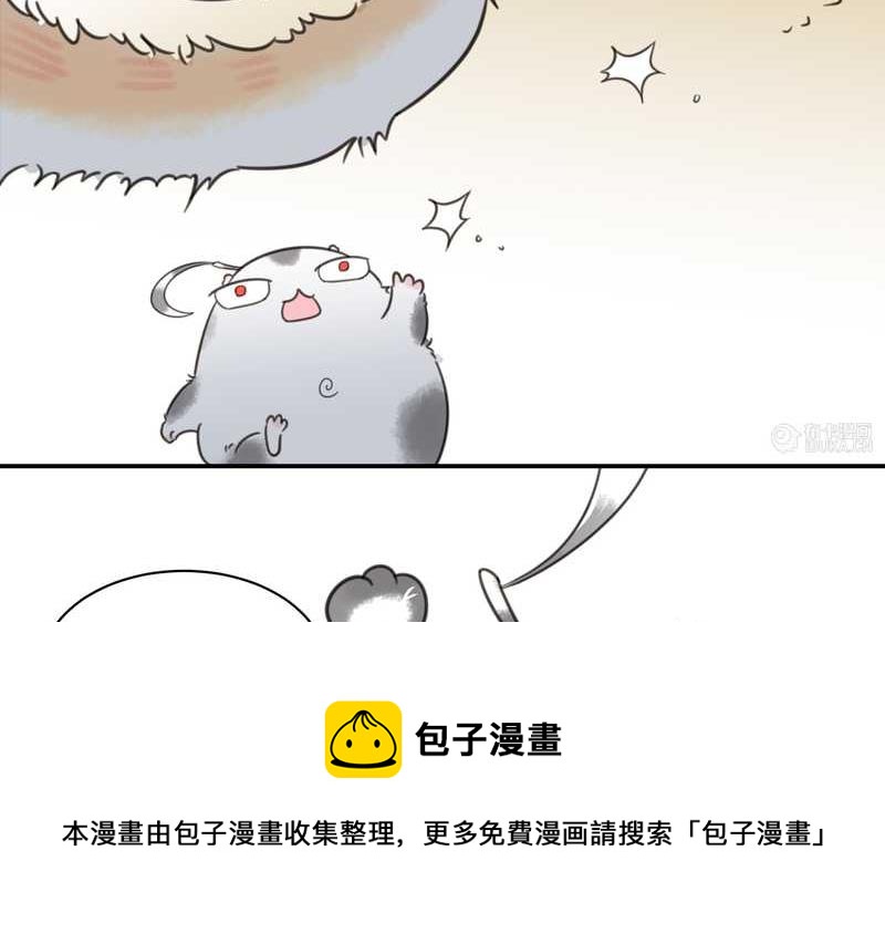 毛球星传说 第16集(1/2)-第16话