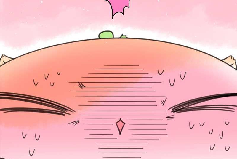 毛球星传说 第16集(1/2)-第16话
