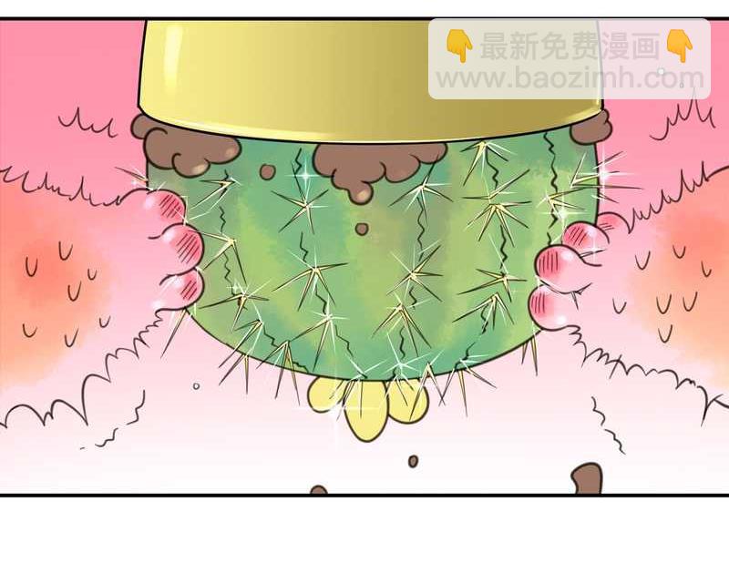 毛球星传说 第16集(1/2)-第16话