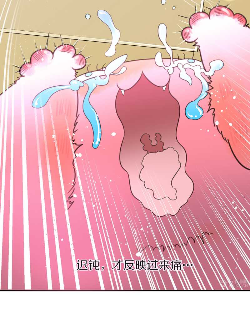 毛球星传说 第16集(1/2)-第16话