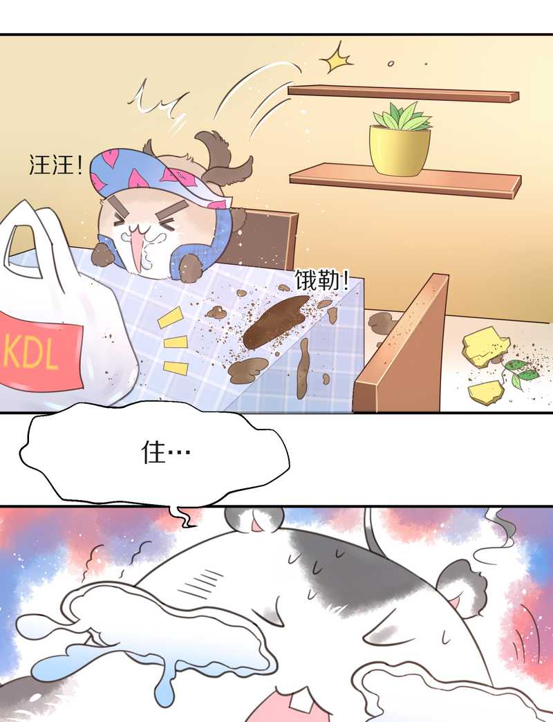 毛球星传说 第16集(1/2)-第16话