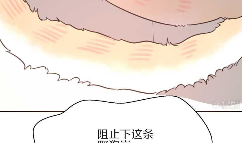 毛球星传说 第16集(1/2)-第16话
