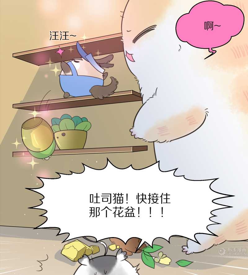 毛球星传说 第16集(1/2)-第16话