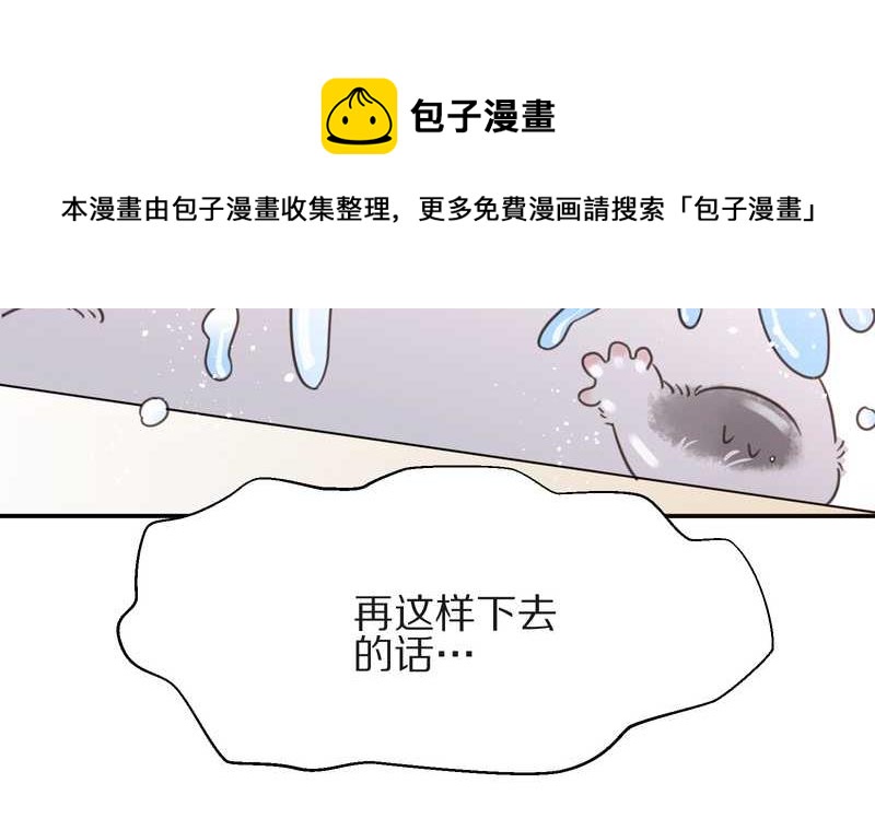 毛球星传说 第16集(1/2)-第16话