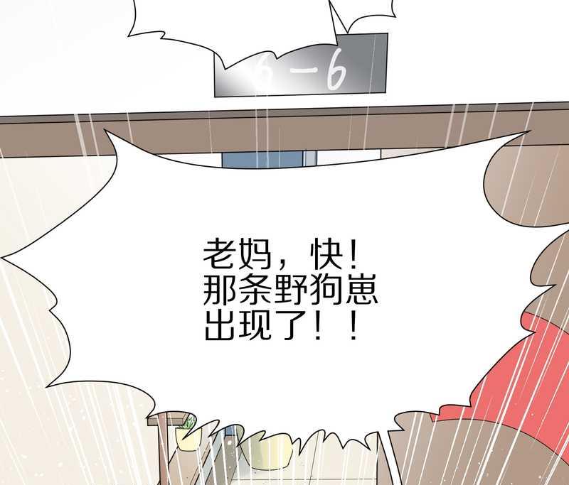 毛球星传说 第16集(1/2)-第16话