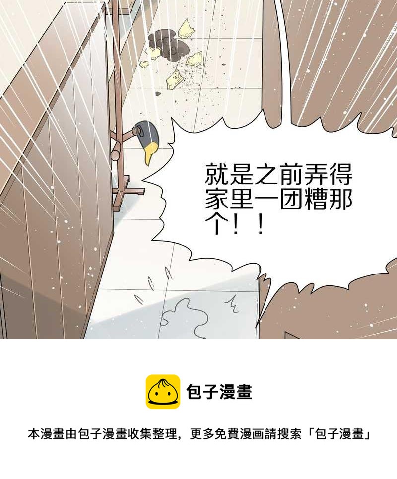毛球星传说 第16集(1/2)-第16话