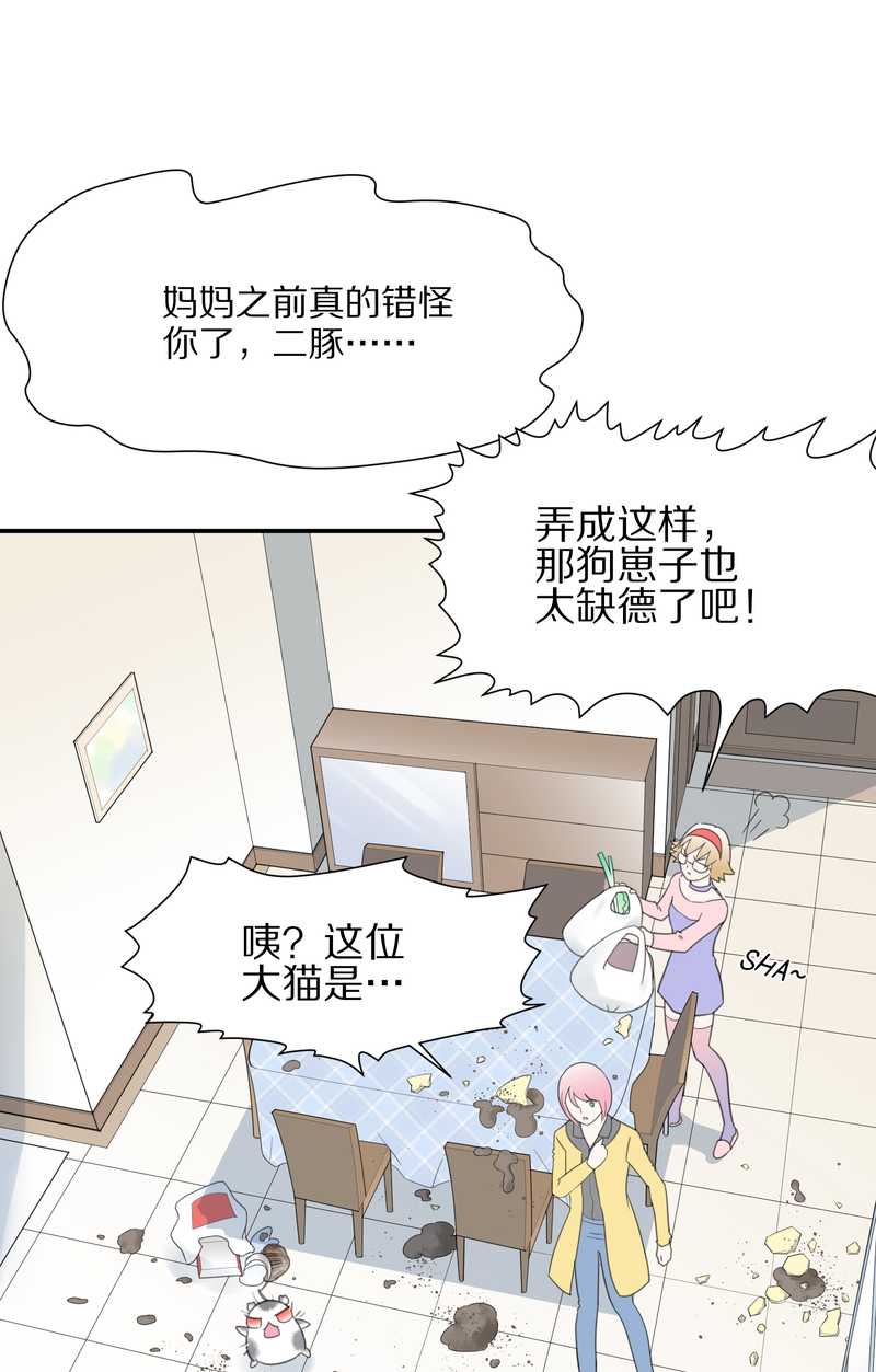 毛球星传说 第16集(1/2)-第16话