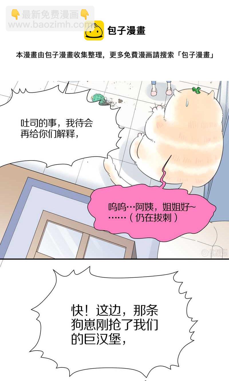 毛球星传说 第16集(1/2)-第16话