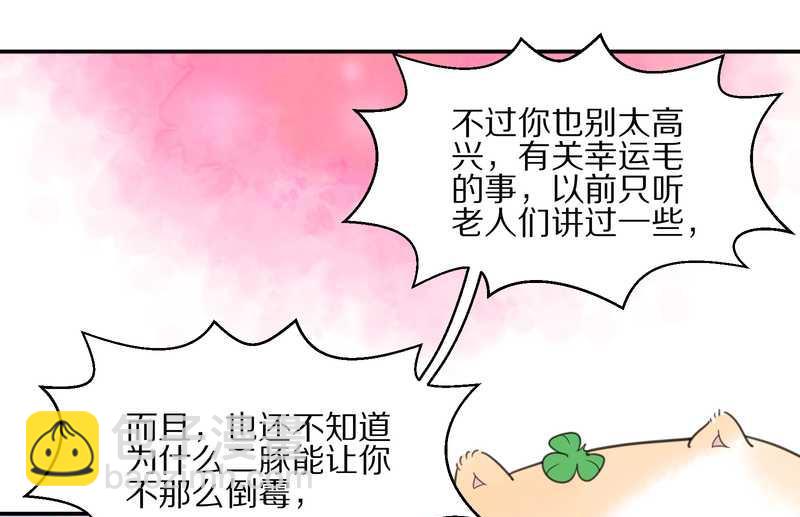 毛球星传说 第18集(1/2)-第18话