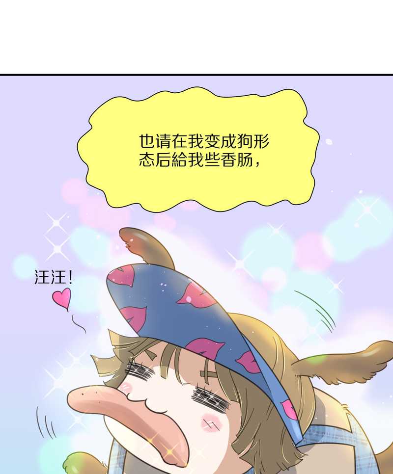 毛球星传说 第18集(1/2)-第18话