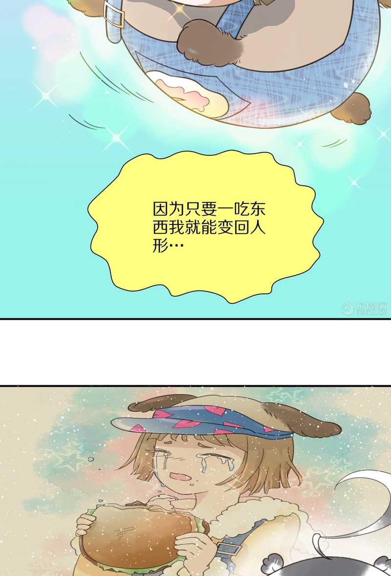毛球星传说 第18集(1/2)-第18话