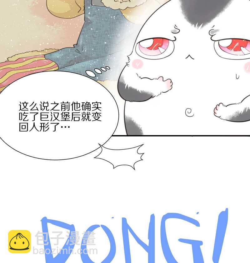 毛球星传说 第18集(1/2)-第18话