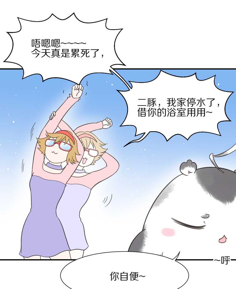 毛球星传说 第18集(1/2)-第18话