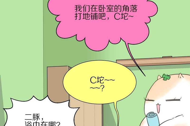 毛球星传说 第18集(1/2)-第18话