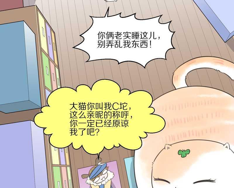 毛球星传说 第18集(1/2)-第18话
