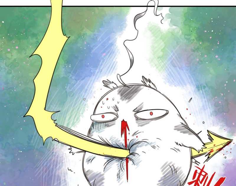 毛球星传说 第18集(1/2)-第18话