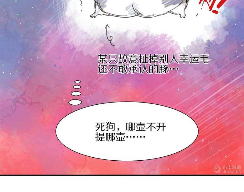 毛球星传说 第18集(1/2)-第18话